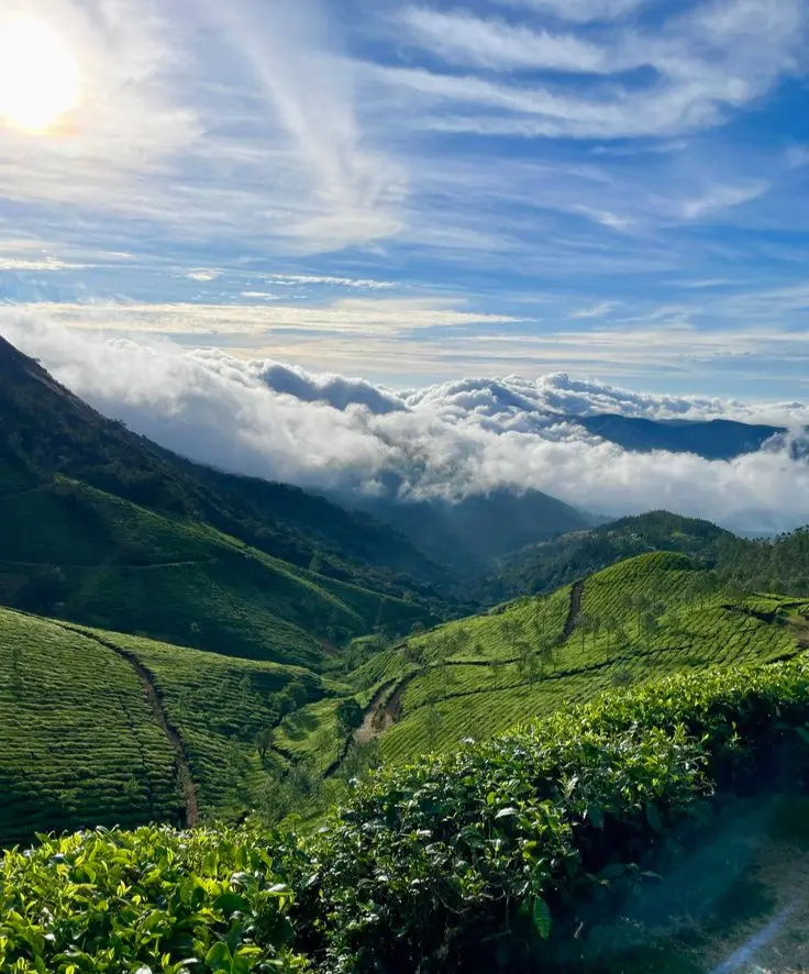 Vibrant green fields stretch across rolling hills under a clear blue sky with soft clouds. The sun peeks through, illuminating the lush landscape.
